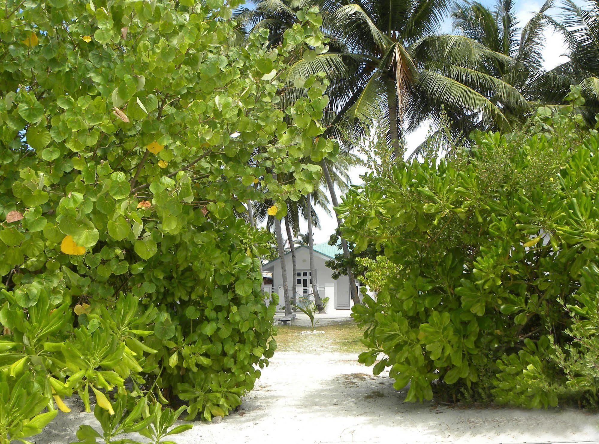 Vaali Beach&Dive Lodge Maldives Felidhu-Atoll Exterior foto